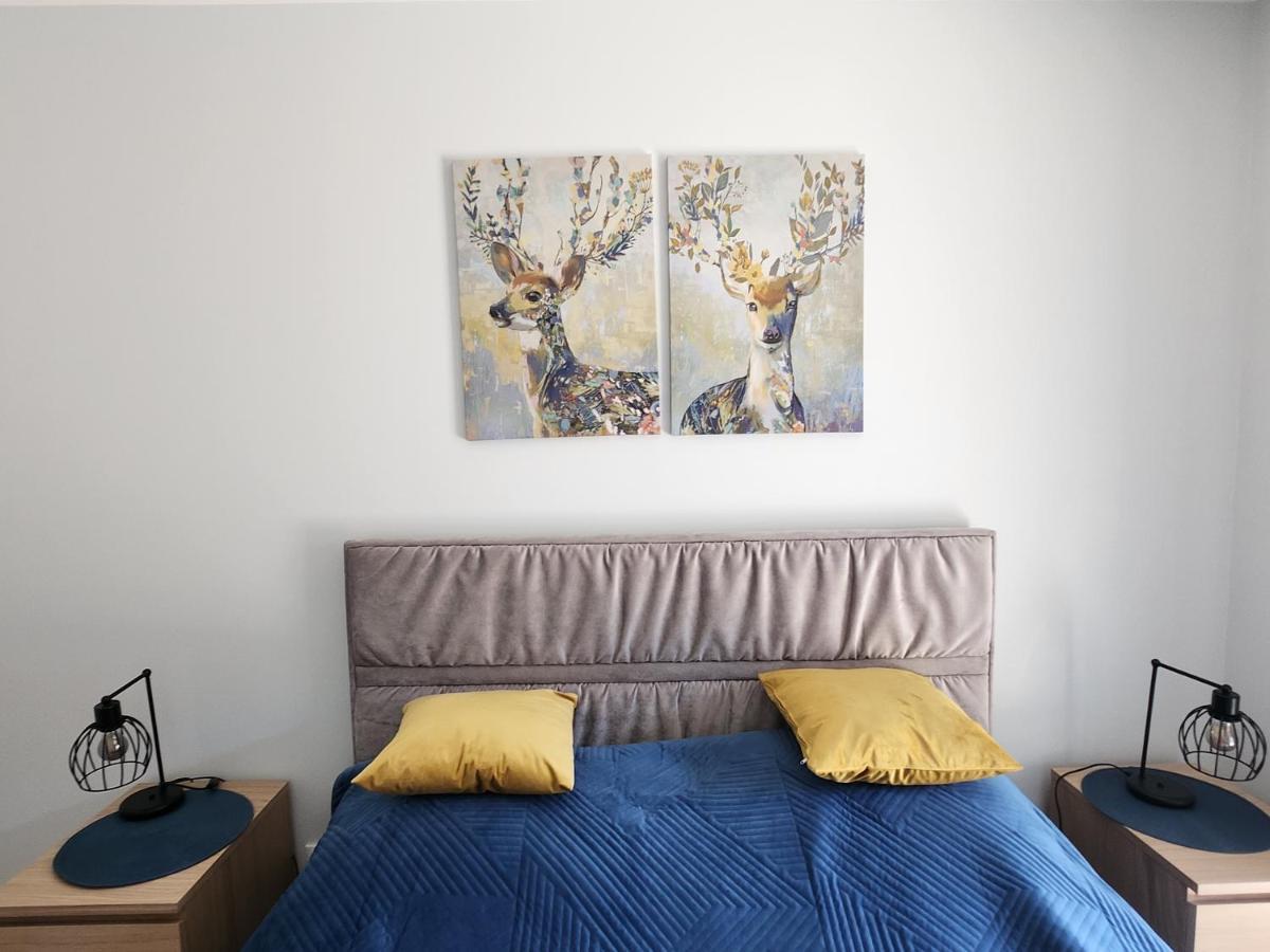 קילצה Dwa Jelonki, Ul Sciegiennego, Centrum, Garaz, Ogrodek מראה חיצוני תמונה